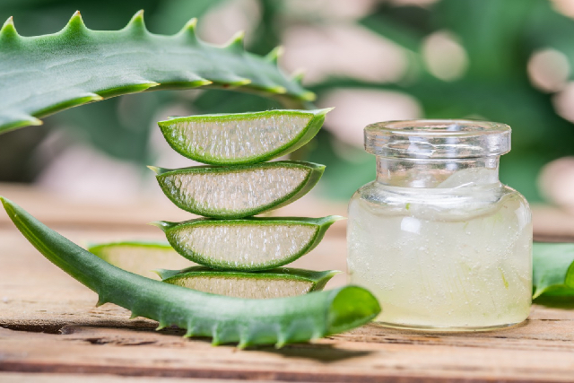 6 Manfaat Aloe Vera untuk Perawatan Kulitmu