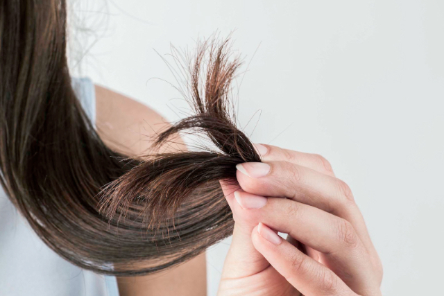 Tips Mengatasi Rambut yang Bercabang dan Mudah Putus