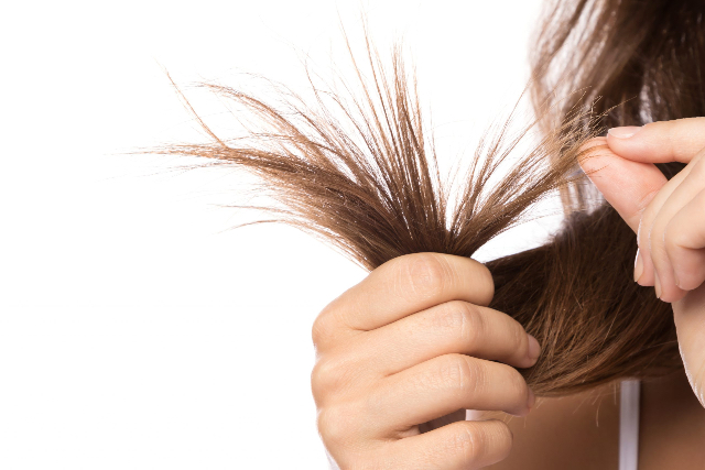 Mengatasi Rambut Bercabang: Tips dan Perawatan untuk Rambut yang Sehat dan Bebas Cabang