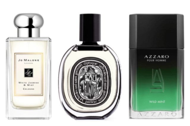 Informasi Parfum Aroma Mint Untuk Wanita Agar Selalu Terlihat Segar