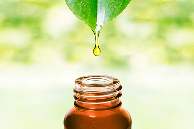 Manfaat Tea Tree Oil, Apakah Benar Ampuh untuk Atasi Jerawat?